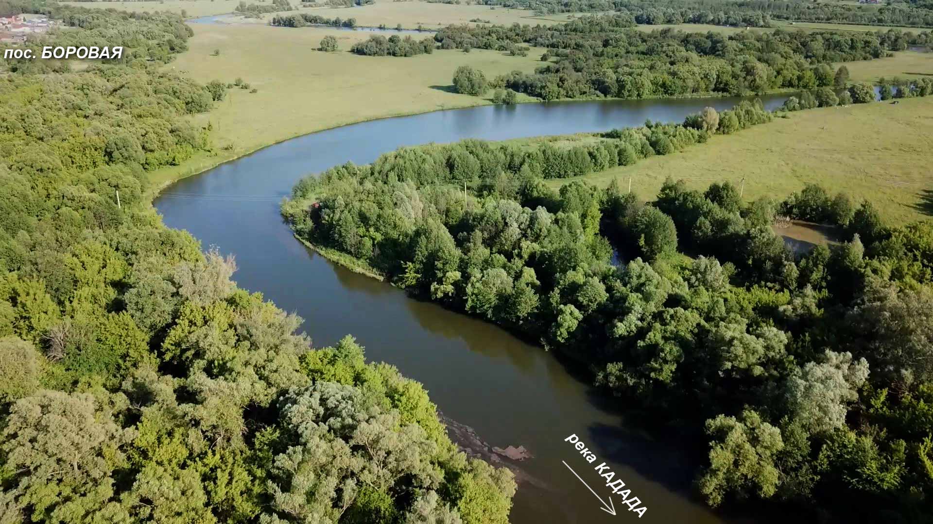 Растения и животные реки суры. Река Кадада Пензенской области. Река Сура Пенза. Река Сура в Пензенской области. Речка Кадада Пензенская область.